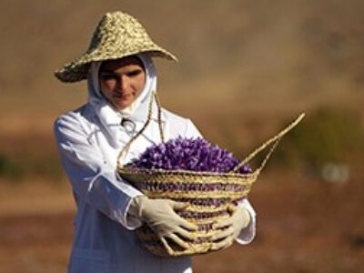 خرید زعفران برای صنایع غذایی