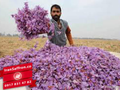 مقایسه کیفیت زعفران هرات با ایران
