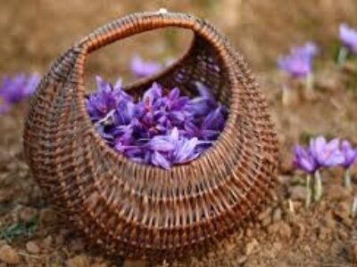 توسعه صادرات زعفران ایران در جهان