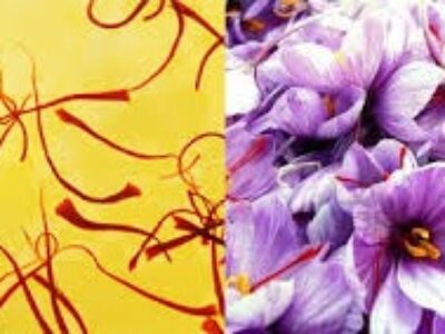 فروش زعفران قائن به قیمت خرید روز
