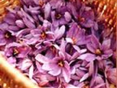 پخش انواع زعفران اعلا ایرانی