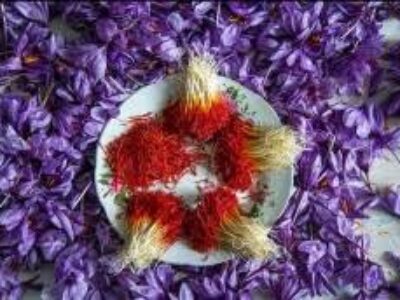 نمایندگی فروش زعفران بسته بندی در اراک