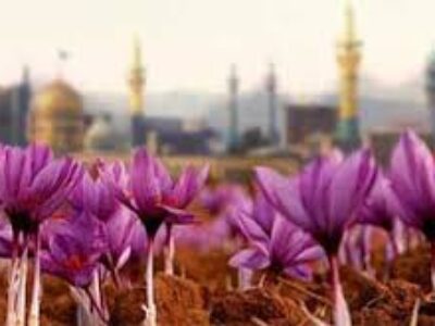 خرید زعفران صادراتی در یزد