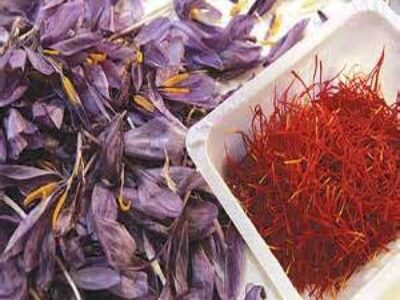 توزیع ارزان زعفران قائنات متنوع