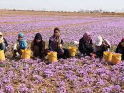 قیمت روز بهترین انواع زعفران ایرانی