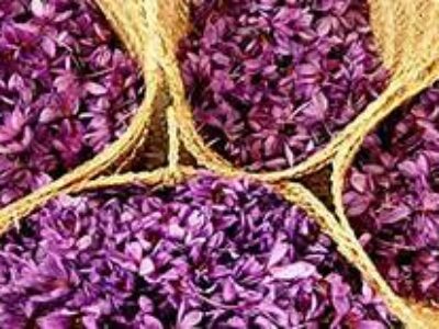 قیمت زعفران گوهر در دزفول