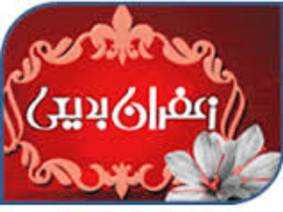 خرید مستقیم زعفران از شرکت بدیعی
