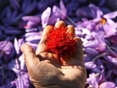 فروش زعفران سرگل در فارس