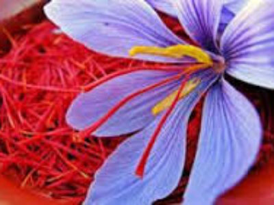 خواص قسمت های مختلف گل زعفران