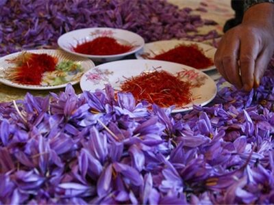 تجارت استثنایی زعفران وفانیلا بسته بندی شده