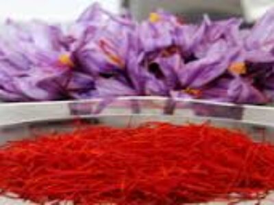 فروش مستقیم زعفران ایرانی بسته بندی شده