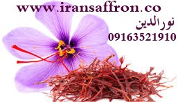 You are currently viewing نرخ انواع زعفران امسالی باکیفیت