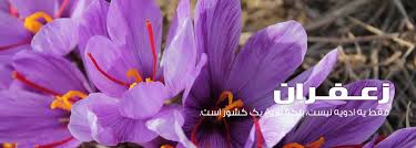 You are currently viewing شرکت صادرات زعفران ایرانی به آلمان