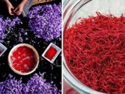 خرید عمده زعفران ایرانی اصل