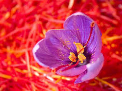 تجارت انواع زعفران مشهد بسته بندی شده