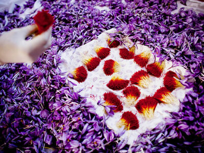 فروش زعفران فله در مشکین شهر