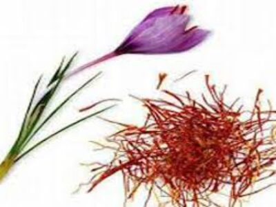 سود صادرات زعفران فله در یزد