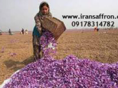 توزیع زعفران آلنج درجه یک شیراز