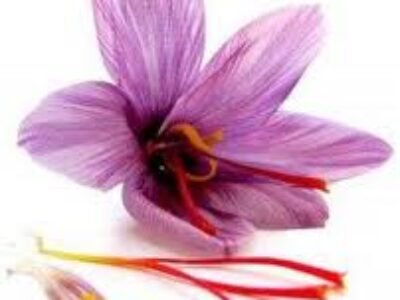 خرید اینترنتی زعفران قائنات با بالاترین کیفیت