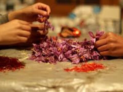 فروش عمده زعفران قائنات در ایران