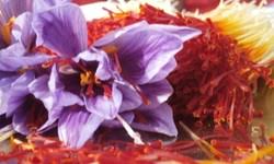 You are currently viewing صادرات بهترین انواع زعفران فله ممتاز