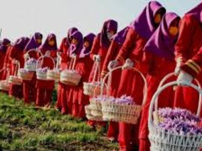 بهترین راه شناسایی زعفران اصلی ایران