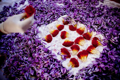 You are currently viewing انواع زعفران درجه یک نگین پوشال ایران