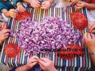 قیمت فروش زعفران اعلا استهبان در تهران