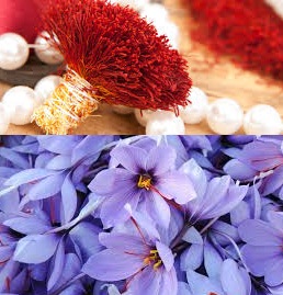 You are currently viewing خرید و فروش انواع زعفران اصلی ایرانی