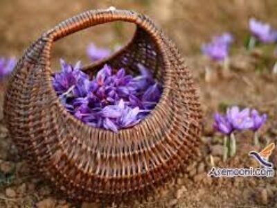 صادرات مرغوبترین زعفران خالص ایران