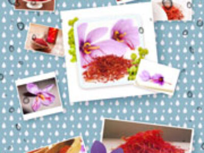 صادرات زعفران فله ای به اسپانیا