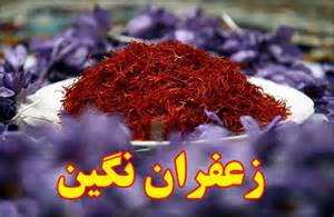 You are currently viewing صادرات زعفران نگین ناب
