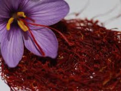 فروش فله زعفران سحرخیز هند