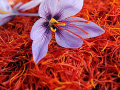 صادرات زعفران فله تربت حیدریه