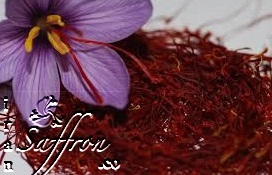 You are currently viewing صادرات بهترین زعفران ایرانی فله
