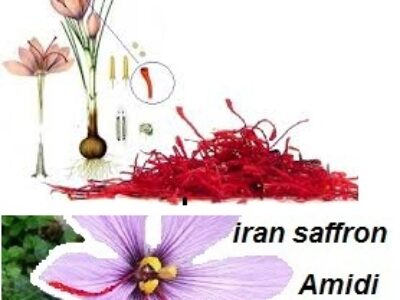 فروش و برندسازی زعفران ممتاز ایران