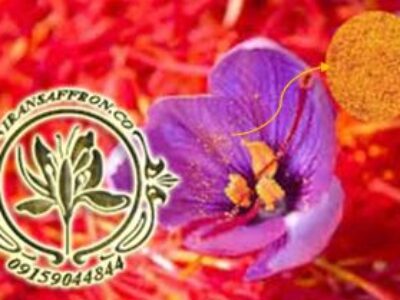 خرید اینترنتی گرده زعفران جهت صادرات