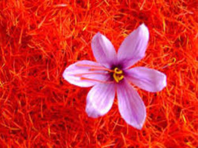 شرکت بزرگ صادرات زعفران فله در یزد