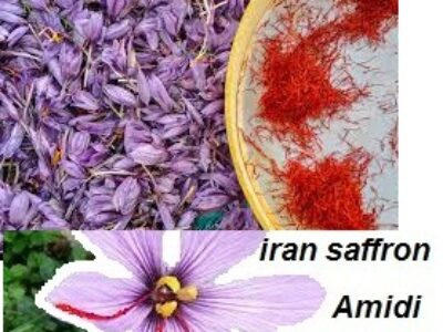بازار های صادراتی زعفران ایران
