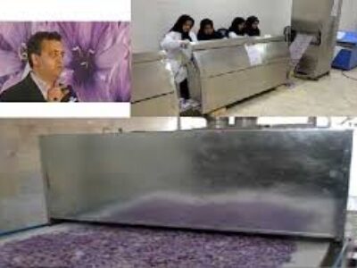 بهترین روش پاک کردن زعفران ایرانی