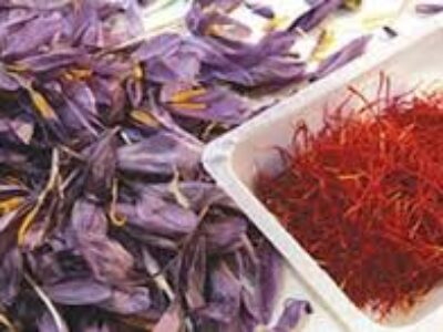 بازار فروش انواع زعفران در تبریز