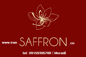 You are currently viewing صادرات زعفران با کیفیت ایرانی