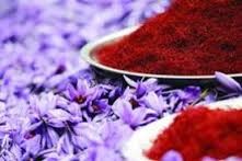 You are currently viewing تجارت هر کیلو زعفران خشک در فردوس