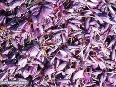 توزیع زعفران اعلاء قائنات در کشور