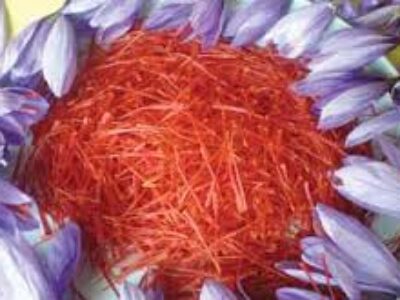 تولید انواع زعفران ایرانی اصل