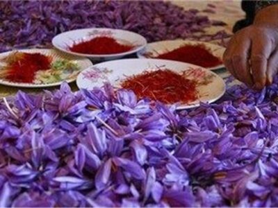 فروش زعفران پوشالی در سیستان و بلوچستان