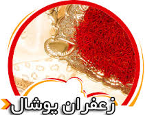 You are currently viewing فروش اینترنتی زعفران پوشال ایرانی