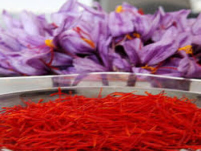 قیمت خرید زعفران عمده در فردوس