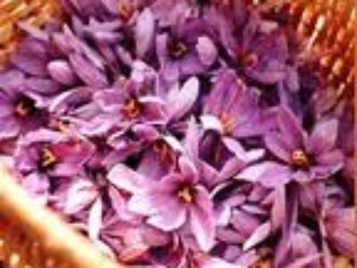 فروش زعفران ایرانی در آلمان