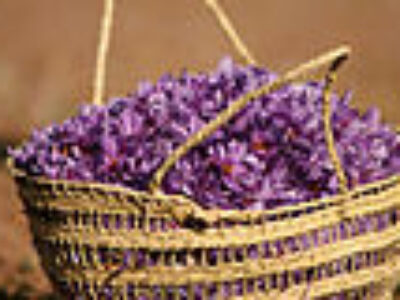 خرید اینترنتی گل زعفران تازه